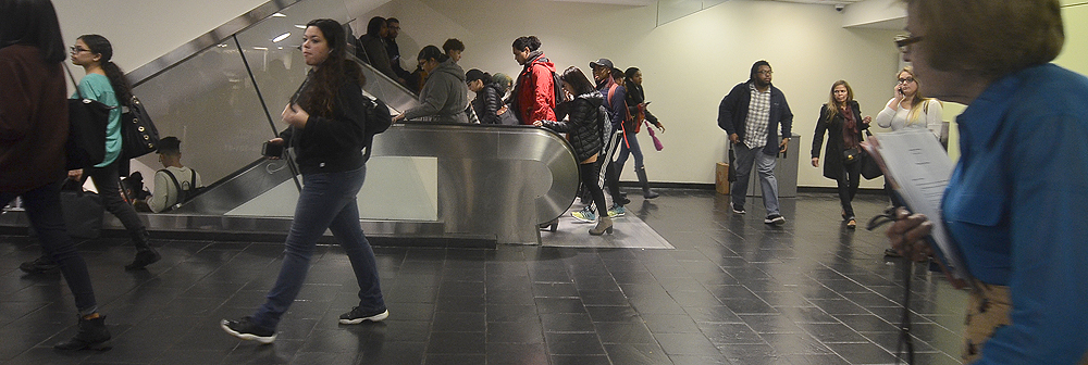 widecampus_dsc4192